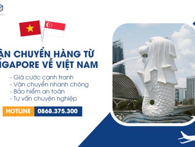 Dịch vụ vận chuyển hàng từ Singapore về Việt Nam trọn gói giá rẻ